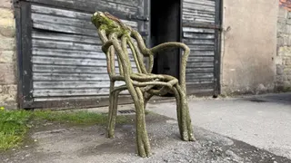 A chair grown out of tree branches sitting outside the studio of Full Grown, in Derbyshire.