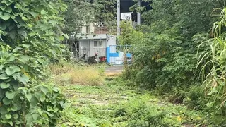 高雄竹寮違法堆80噸垃圾山長達5年！ 環保局稱為「保全證據」無法處理？