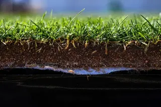 草皮橫切面
