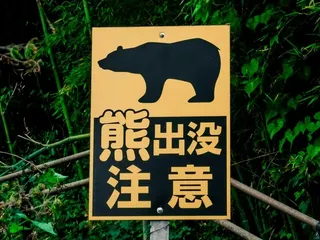 圖為「熊出沒」警示看板。（圖取自Unsplash圖庫）