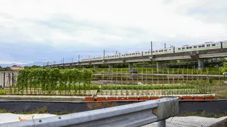 若納入「換車轉乘」因素後，支持度明顯轉向直鐵方案，質疑政府長期引用的「高鐵八成支持度」無法反映完整資訊下的民意。（圖／資料照）