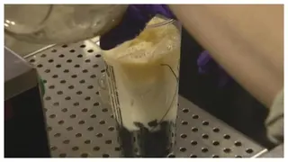 韓國「手動封飲料」台人嚇傻！內行曝「1神機」竟是台灣發明：世界第一