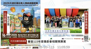 徐巧芯質詢徐佳青時將全美同鄉會社團旗子誤以為是民進黨黨旗。（圖／翻攝自國會頻道）