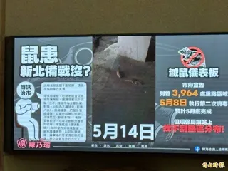 議員陳乃瑜說5月5日於議會質詢時，已播放影片提醒新店地區有老鼠出沒。(記者黃政嘉攝)