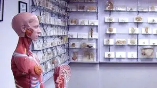 一個房間裡陳列著人體骨骼和器官模型，架子上擺滿了人體標本