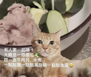 郭雪芙減肥菜單曝光。（圖／翻攝自郭雪芙IG）