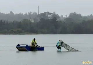 金管處僱工前往國家級重要濕地慈湖，清除非法網具。(記者吳正庭攝)