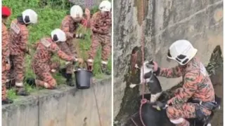 视频 | 猫咪坠深沟无法脱困 消拯员出动雨伞水桶救援