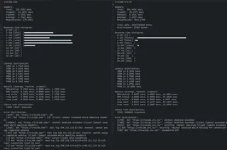 Comparison of the output of hey for both of the servers in the São Paulo VPS