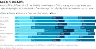 Gen Z: AI usage