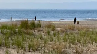 New York Police investigators examine a stretch of beach at Coney Island