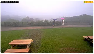 擎天崗因日前發生「野戰」風波，全程遭陽管處YouTube直播。（取材自YouTu...
