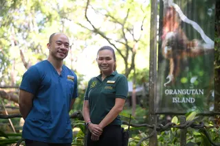 (Embargoed till May 21, 11am) Wendy Chua (right), curator of primates and animal care (operations) at Mandai Wildlife Group and Dr Heng Yirui, Deputy Vice President of veterinary healthcare and scientific programmes at Mandai Wildlife Group, pictured in front of the Orangutan Island at the Singapore Zoo on May 20, 2026.