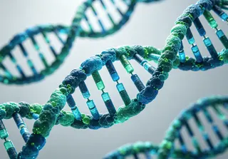 針對帶有APOE ε4基因的族群，張家銘表示，基因風險並不代表一定會發病，而是提醒哪條路更容易出問題。（示意圖／AI生成圖）