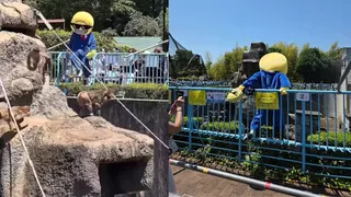 擅闯日本网红猴园区被捕 两名美国男子否认指控