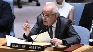 Palestine's UN envoy says world must not grow 'accustomed to seeing Palestinians killed'
