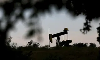 An oil pump jack silhouetted against the sky, in a picture framed by silhouetted tree branches and bushes