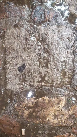 惠山國家森林公園內的墓碑台階。(取材自新京報)