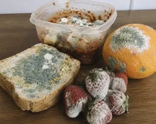 黴菌毒素可能就藏在每天吃的食物與生活環境裡。(取自張家銘臉書)