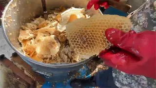 陳年白米「口感猛升SSR」！日網實測「加1物」秒變Q彈鬆軟：根本新米