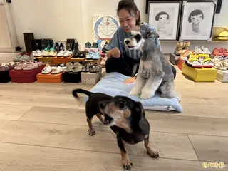 潘慧如攜手台灣防止虐待動物協會舉辦實體公益募款活動。(記者蕭方綺攝)