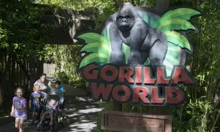 visitors entering a zoo next to a sign that says 'gorilla world'