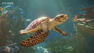 Planet Zoo 2 - sea turtle