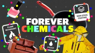 How ‘forever chemicals’ have seeped into almost everything – video