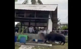 In the 40-second clip, the victim is seen trying to get back on his feet after the attack and is believed to have suffered severe injuries. - PIC CREDIT: SOCIAL MEDIA