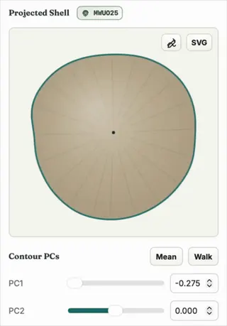 PC2 animation