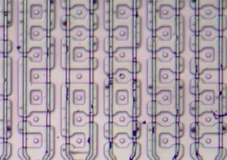 A close-up of the 8087's microcode ROM, showing 77 transistors. A transistor is formed where a vertical polysilicon line crosses a horizontal stripe of doped silicon.