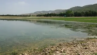 Israeli army crosses Litani River, reaches outskirts of Nabatieh city