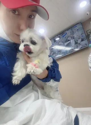 利特帶著愛犬頻繁出入醫院。圖／摘自IG
