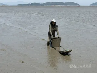 位於韓國全羅南道高興郡的竹岩里泥灘因為深厚泥灘環境，一般人難以踏入，船隻也無法駛入，因此發展出用泥灘木筏撈捕的傳統作業方式，採用全手工，避免機器捕撈小型生物。中央社記者楊啟芳高興郡攝 115年5月30日