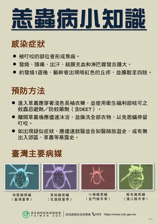 網紅哈尼小微驚傳染恙蟲病驟逝。取自疾管署官網