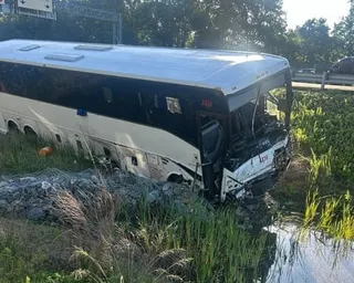 A white passenger bus rests tilted in a ditch beside overgrown grass and water