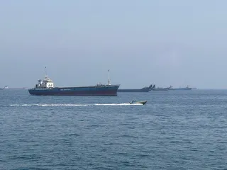 29日可見多艘貨船滯留荷莫茲海峽、靠近阿曼沿岸一側。(新華社)