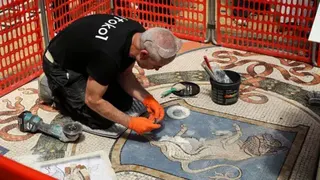 Mondadori Portfolio via Getty Images A restorer kneels in front of a mosaic of a bull. He is wearing orange cloves and a black T-shirt. An orange partition is set up around him to separate him from the public.