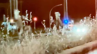 Blurry horses running past lights