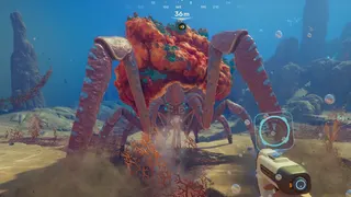 A big grumpy crab.