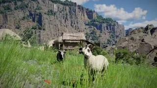 Goats in Crimson Desert.