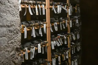 Only five bottles' worth of wine could be salvaged from the eight bottles of Ch d'Yquem