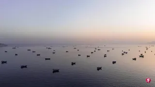 6月3日，从阿曼穆桑达姆港所见的滞留霍尔木兹海峡的船只。 （路透社）