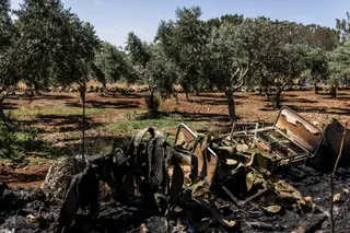 A destroyed bed and a burned tree outside a sheep farm that was set on fire by Israeli settlers in the occupied West Bank