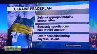 Zelenskyy Proposes Peace Talks in Open Letter to Putin