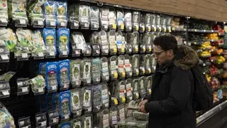 Global food prices edge down 0.2% in May, cereal prices rise