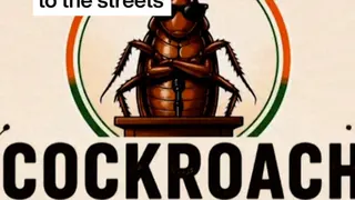 India: Viral 'Cockroach' party to take message to the streets