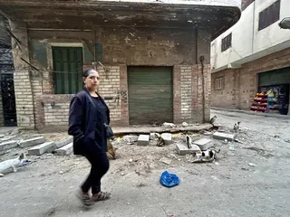 由於犬隻繁殖速度快，加上開羅市區街道垃圾堆積與都市人口擴張，許多開羅居民近年在路...