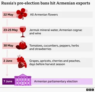 Infographic timeline titled “Russia's pre-election bans hit Armenian exports.” It shows a sequence of export restrictions: on 22 May, all Armenian flowers; from 23–25 May, Jermuk mineral water, Armenian cognac, and wine; on 30 May, tomatoes, cucumbers, peppers, herbs, and strawberries; and on 2 June, grapes, apricots, cherries, and peaches, noted as days before harvest season. At the bottom, 7 June is marked as the date of the Armenian parliamentary election. Icons of a flower, wine glass, veget