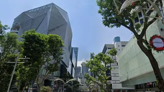 14岁少女疑在乌节路停车场遇袭 七名少女被捕